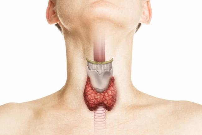 Chirurgie de la thyroïde