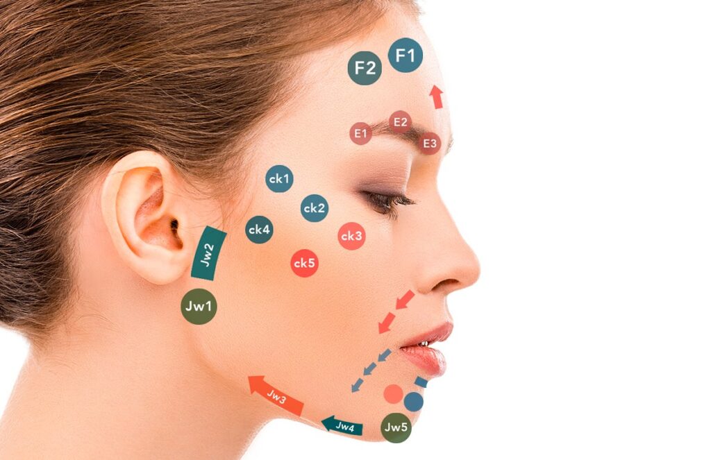 MD Codes harmoniser les traits du visage